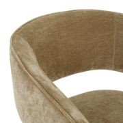 Eliza Dining Armchair gallery detail image