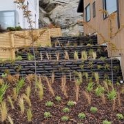 Flex MSE® Vegetated Wall System gallery detail image