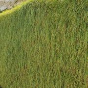 Flex MSE® Vegetated Wall System gallery detail image