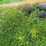 Flex MSE® Vegetated Wall System gallery detail image