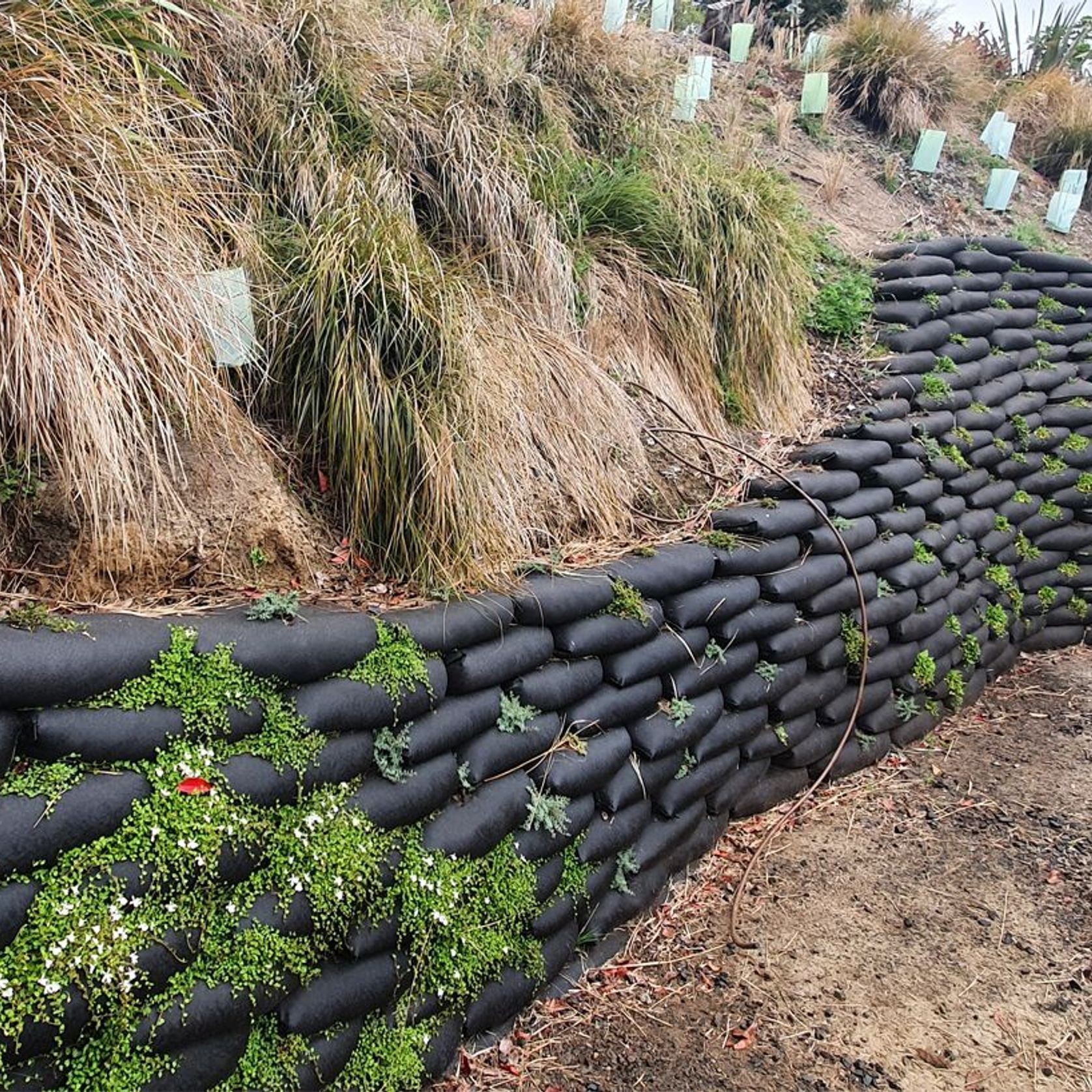 Flex MSE® Vegetated Wall System gallery detail image