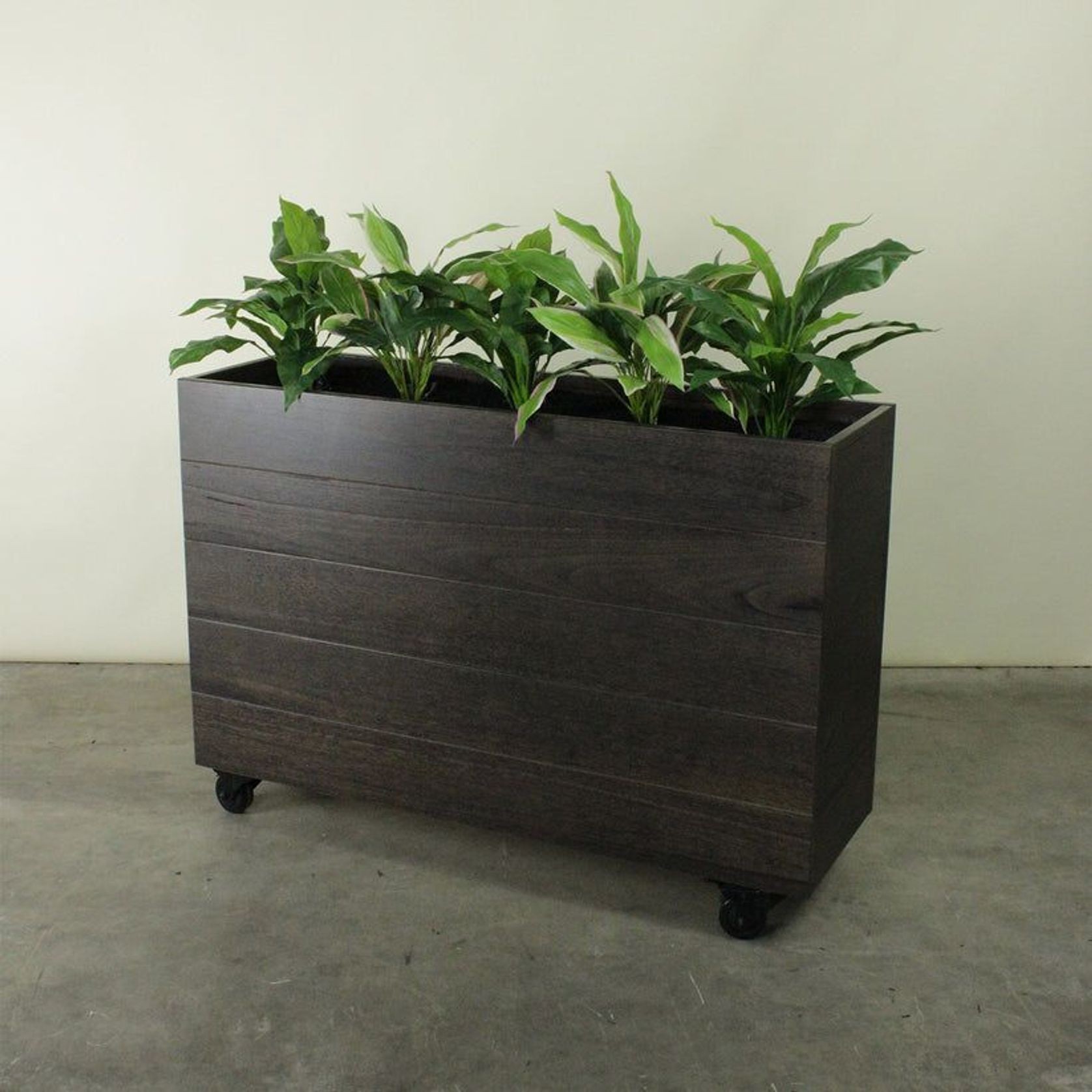 Hardwood Planter Barrier with Plants gallery detail image