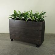Hardwood Planter Barrier with Plants gallery detail image