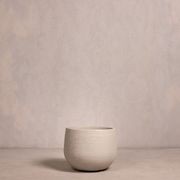 Hibernate NoMud 86 Degrees | Chalk gallery detail image