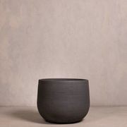 Hibernate NoMud 86 Degrees | Char gallery detail image