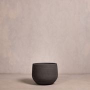 Hibernate NoMud 86 Degrees | Char gallery detail image