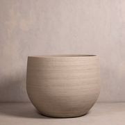 Hibernate NoMud 86 Degrees | Flax gallery detail image