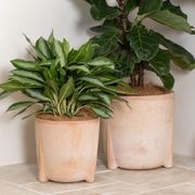 Amalfi Pot gallery detail image