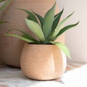 Erasmo Short Cup gallery detail image