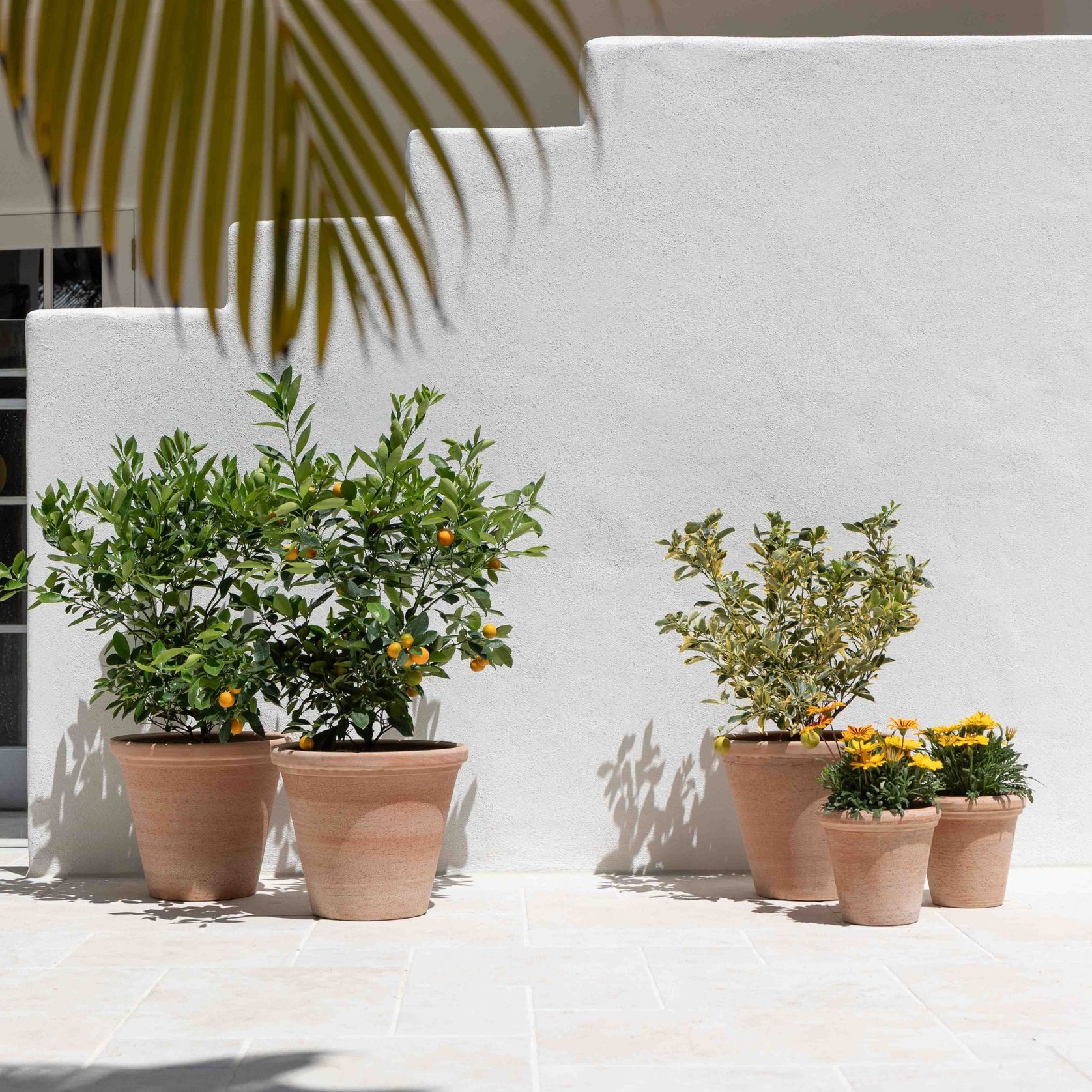 Etrusco Terracotta Pots Collection gallery detail image