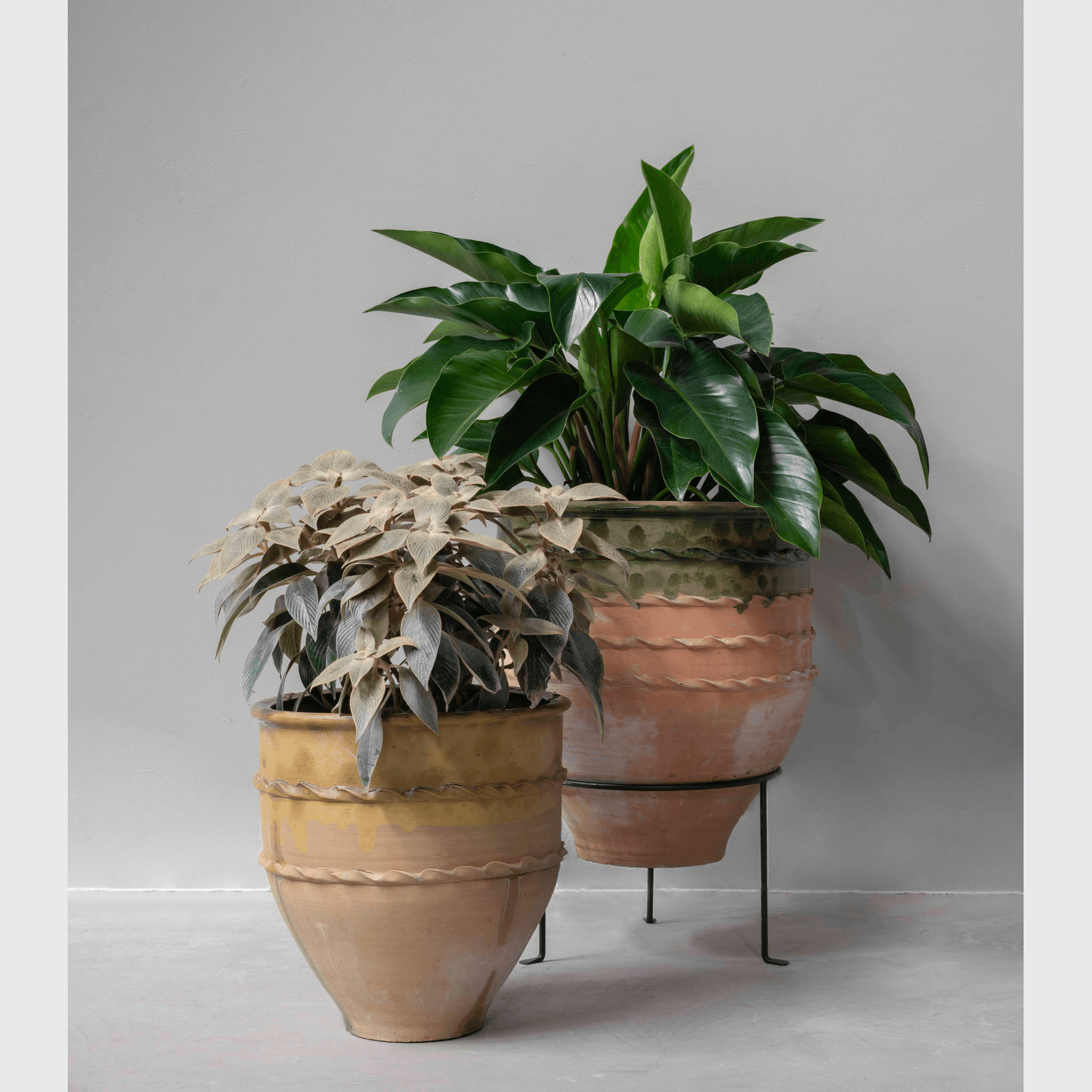 Turkish Dagar gallery detail image