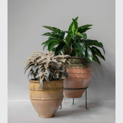 Turkish Dagar gallery detail image