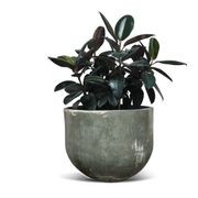 Woodfired Bullet gallery detail image