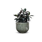 Woodfired Bullet gallery detail image