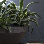 Woodfired Water Bowl gallery detail image