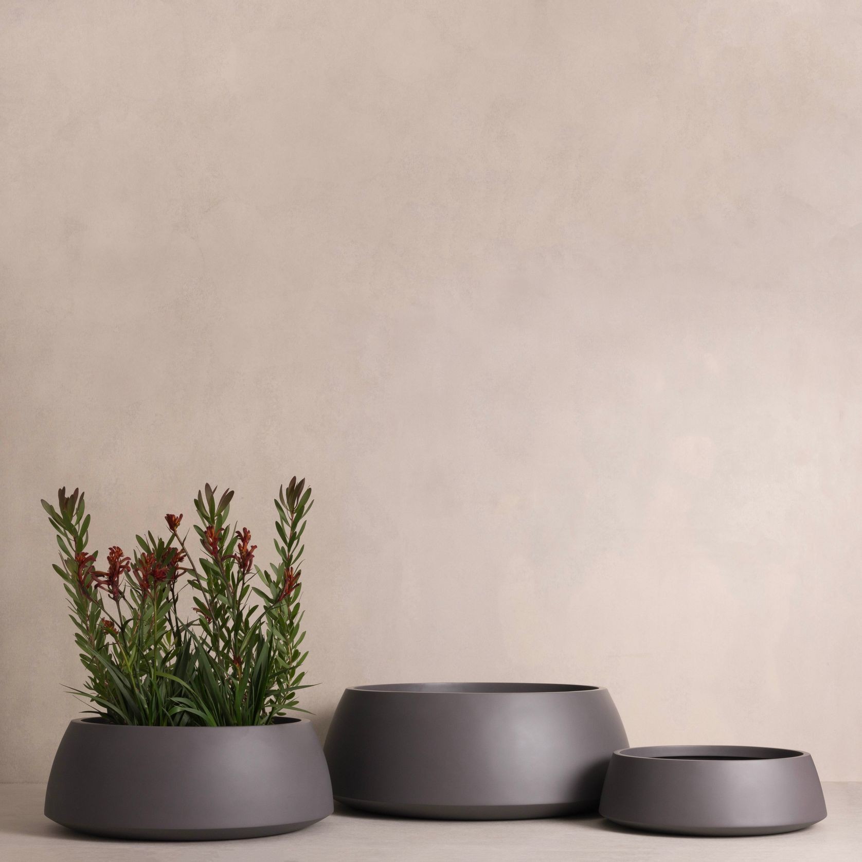 Hibernate 80 Degrees Low Bowl gallery detail image