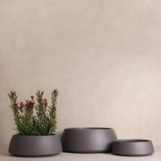 Hibernate 80 Degrees Low Bowl gallery detail image