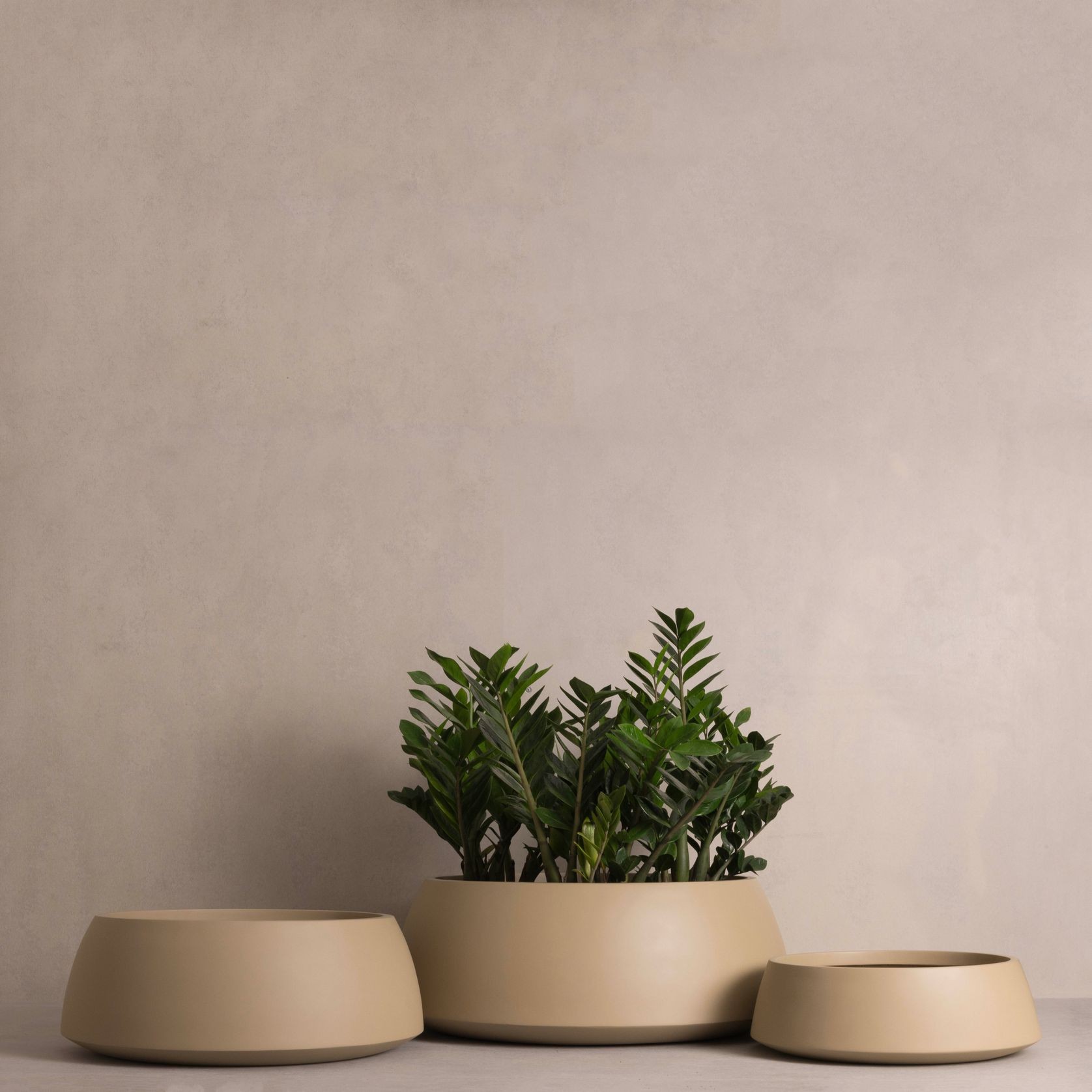 Hibernate 80 Degrees Low Bowl gallery detail image