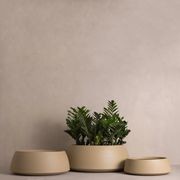 Hibernate 80 Degrees Low Bowl gallery detail image