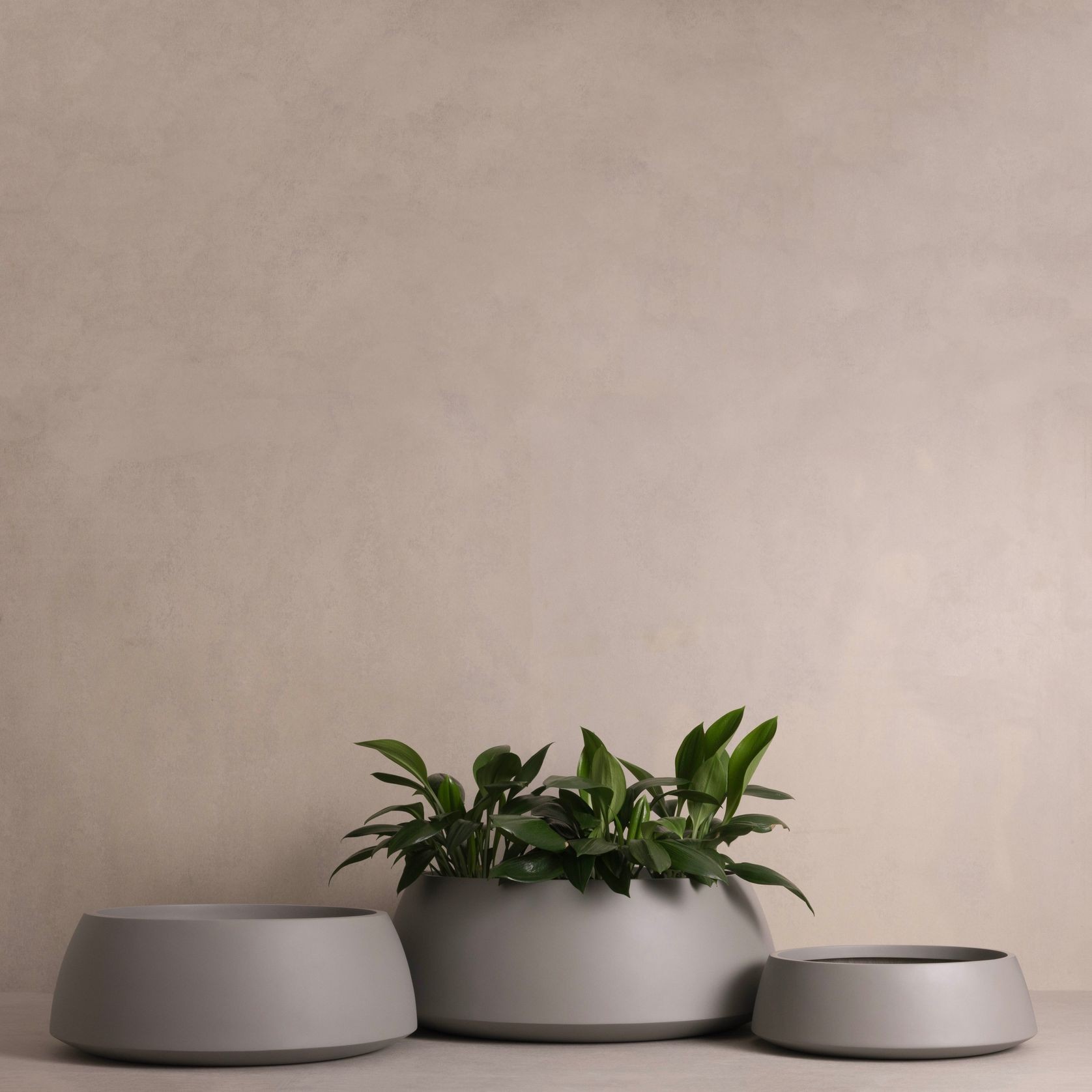 Hibernate 80 Degrees Low Bowl gallery detail image