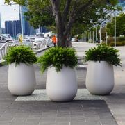Pumice Stone Merlot Pot gallery detail image