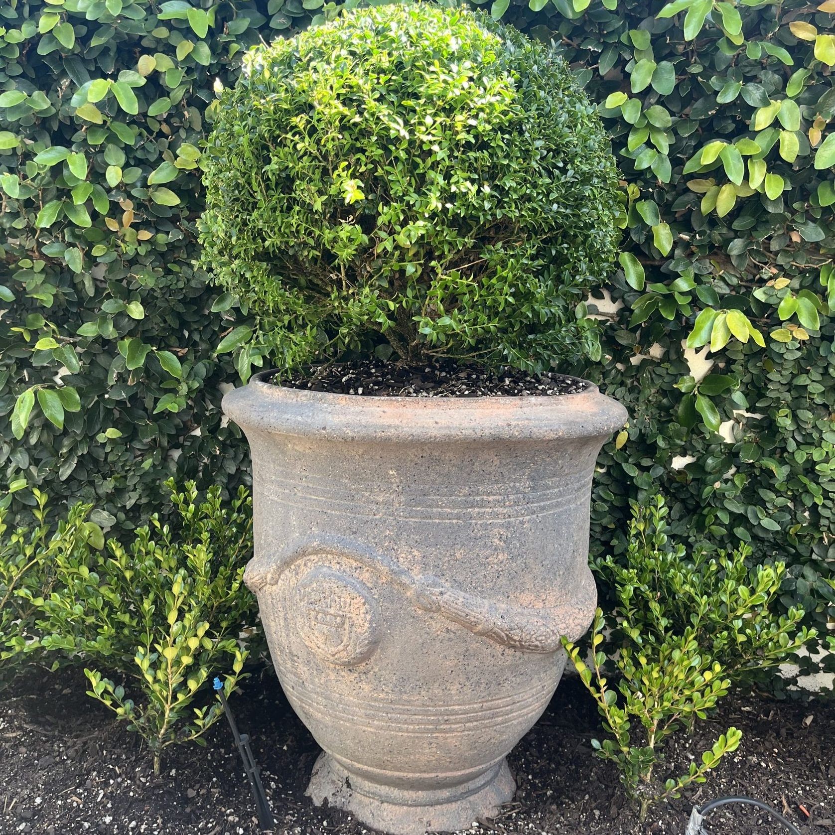 Old Stone - French Urn gallery detail image