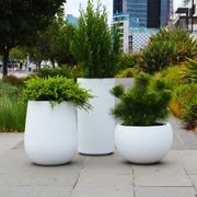 TAU Natural, Stone and Rough Cast Ranges gallery detail image