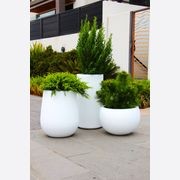 White Planter Cluster | Merlot, Doric & Cratera Bowl gallery detail image