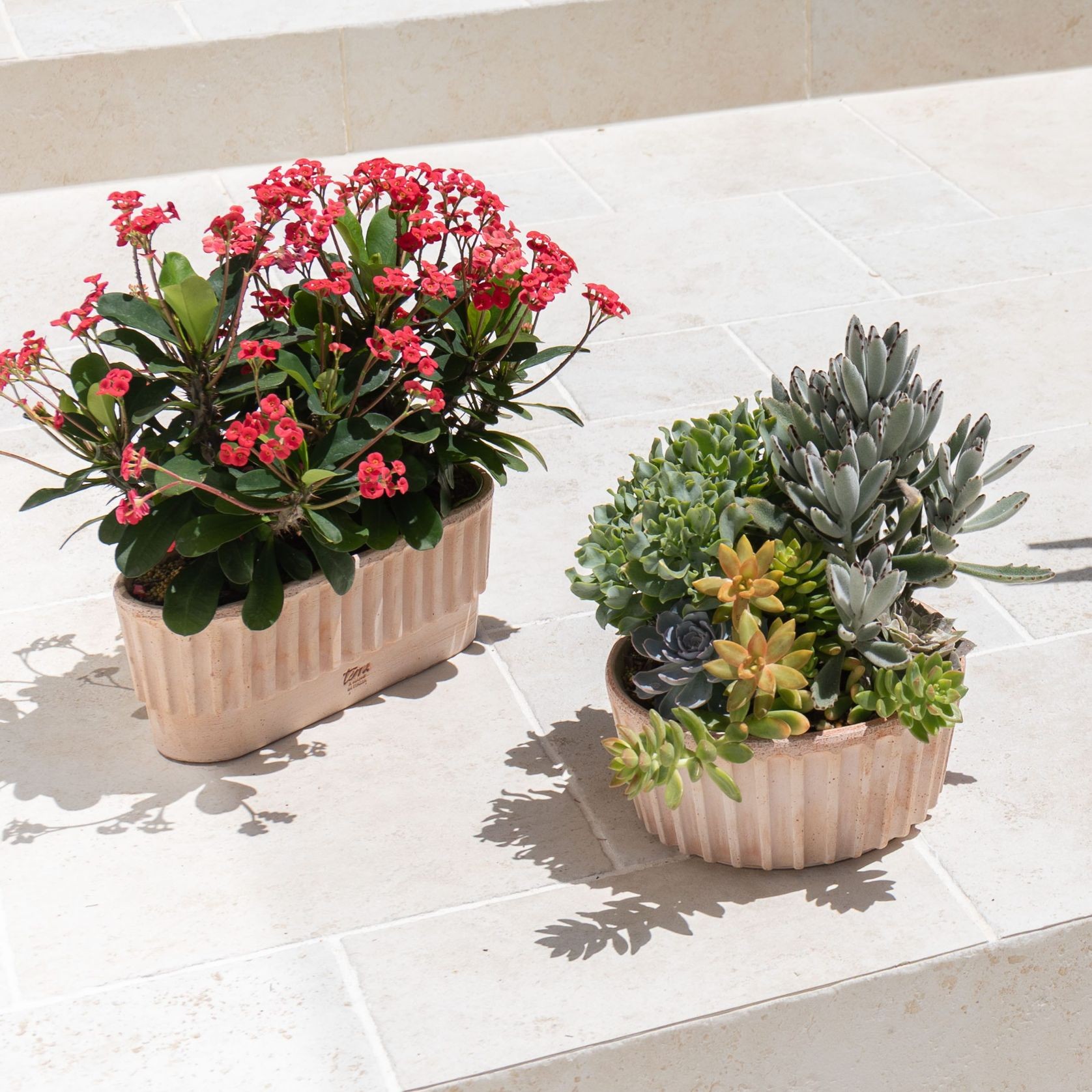 Rigato Lined Pots gallery detail image