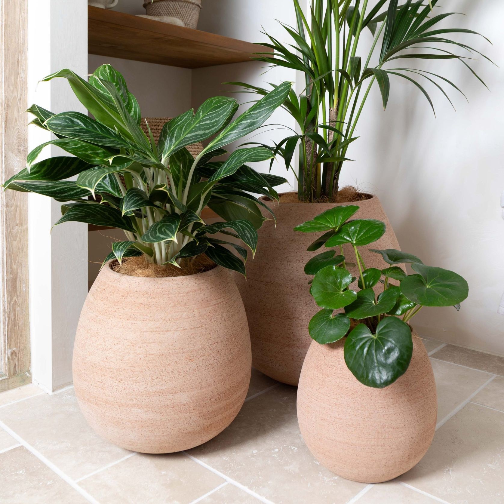 Murano Tall Cup gallery detail image