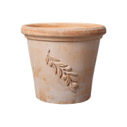 Olive Bowls & Pots gallery detail image