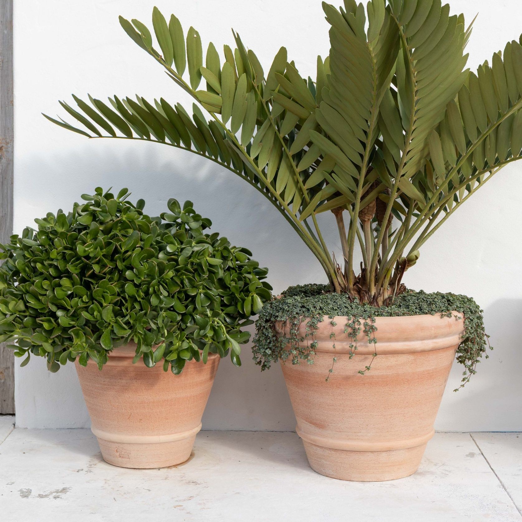 Perugia Pot gallery detail image