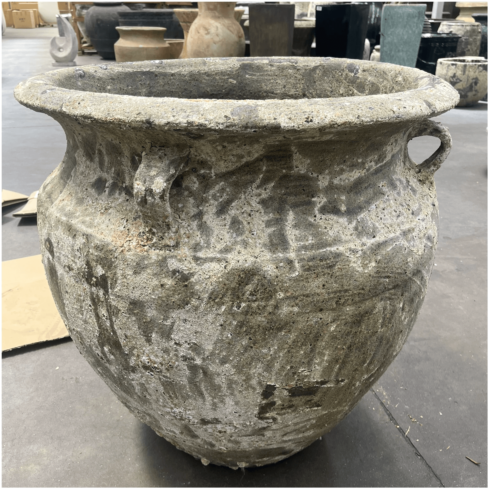 Atlantis - Pollux w/ lugs gallery detail image