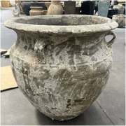 Atlantis - Pollux w/ lugs gallery detail image