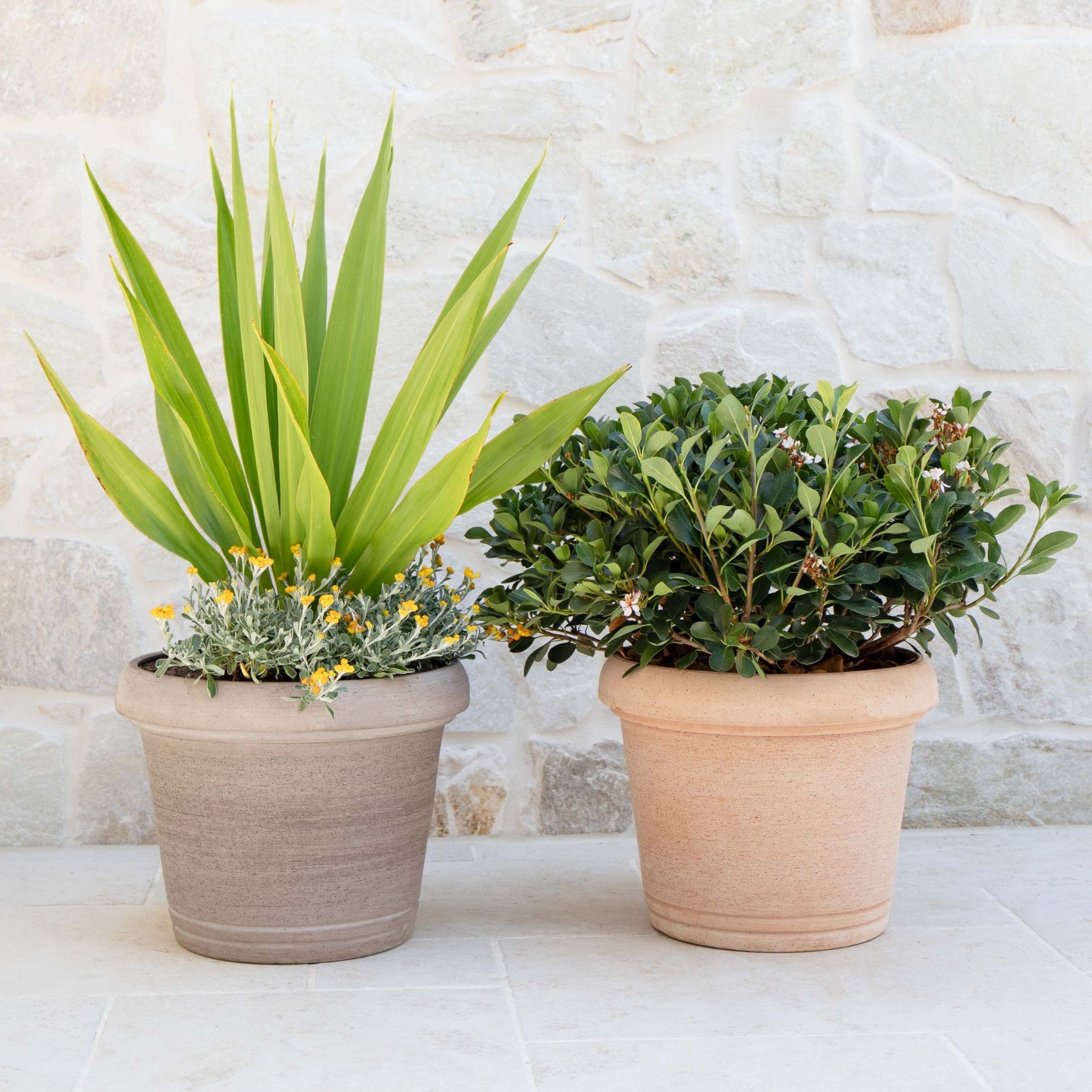 Querceto Cylinder gallery detail image