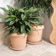 Querceto Cylinder gallery detail image