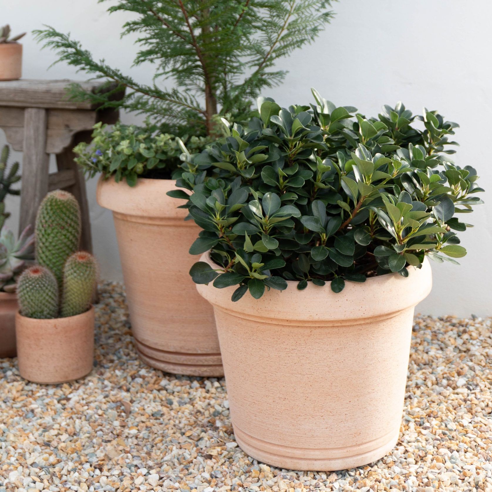 Querceto Cylinder gallery detail image