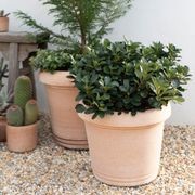 Querceto Cylinder gallery detail image