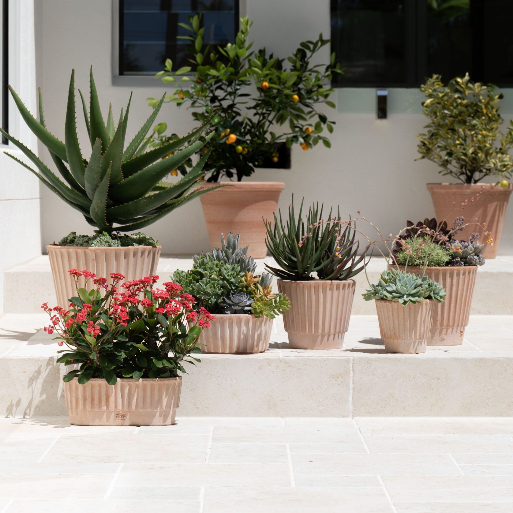 Rigato Lined Pots gallery detail image