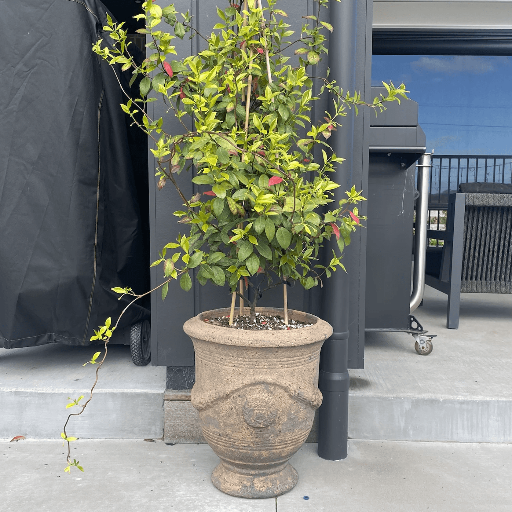 Old Stone - French Urn gallery detail image