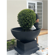 Volcano Bowl and Base gallery detail image