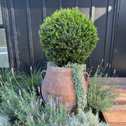 Old Stone - Ibis Jar gallery detail image