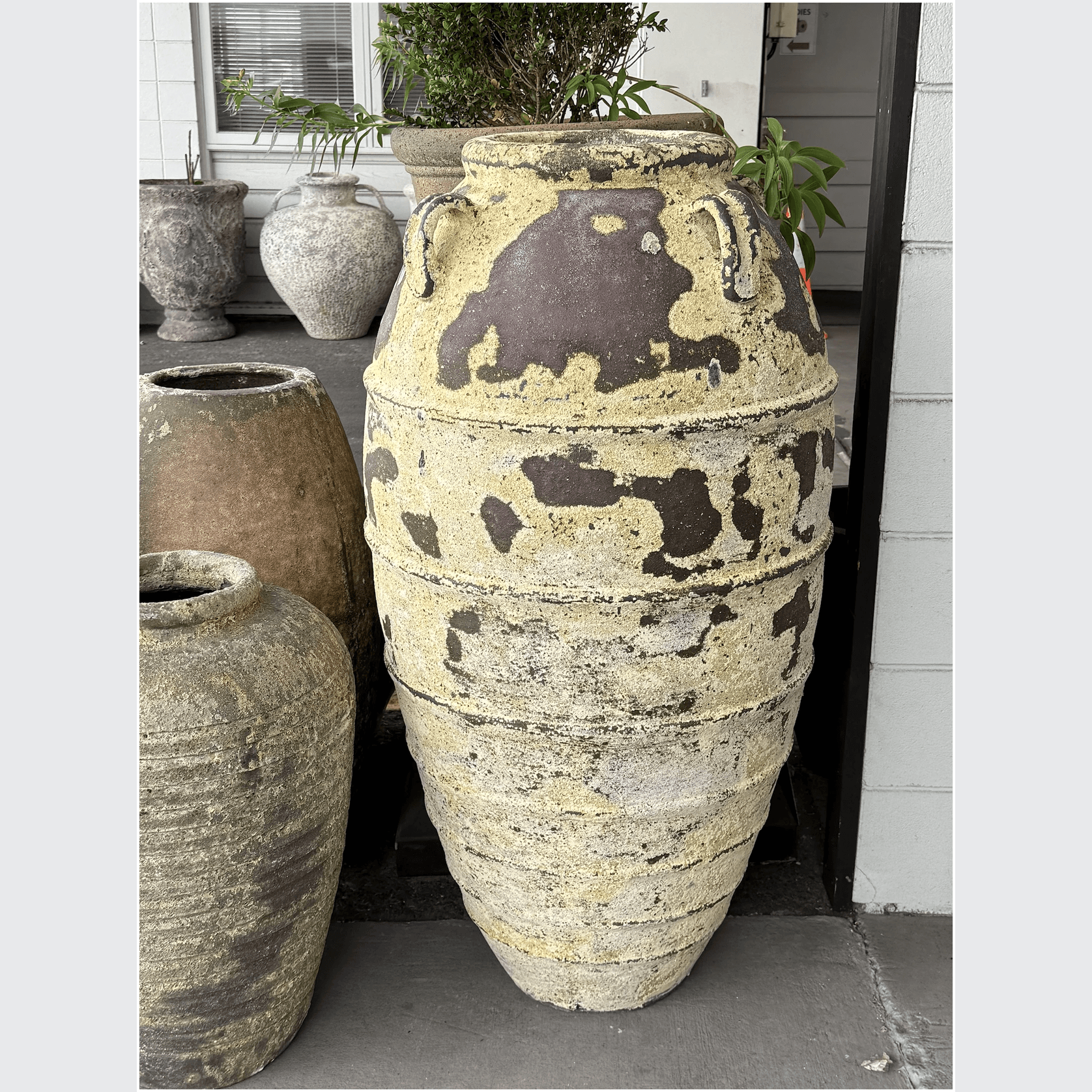 Atlantis - Kos Jar (with lugs) gallery detail image