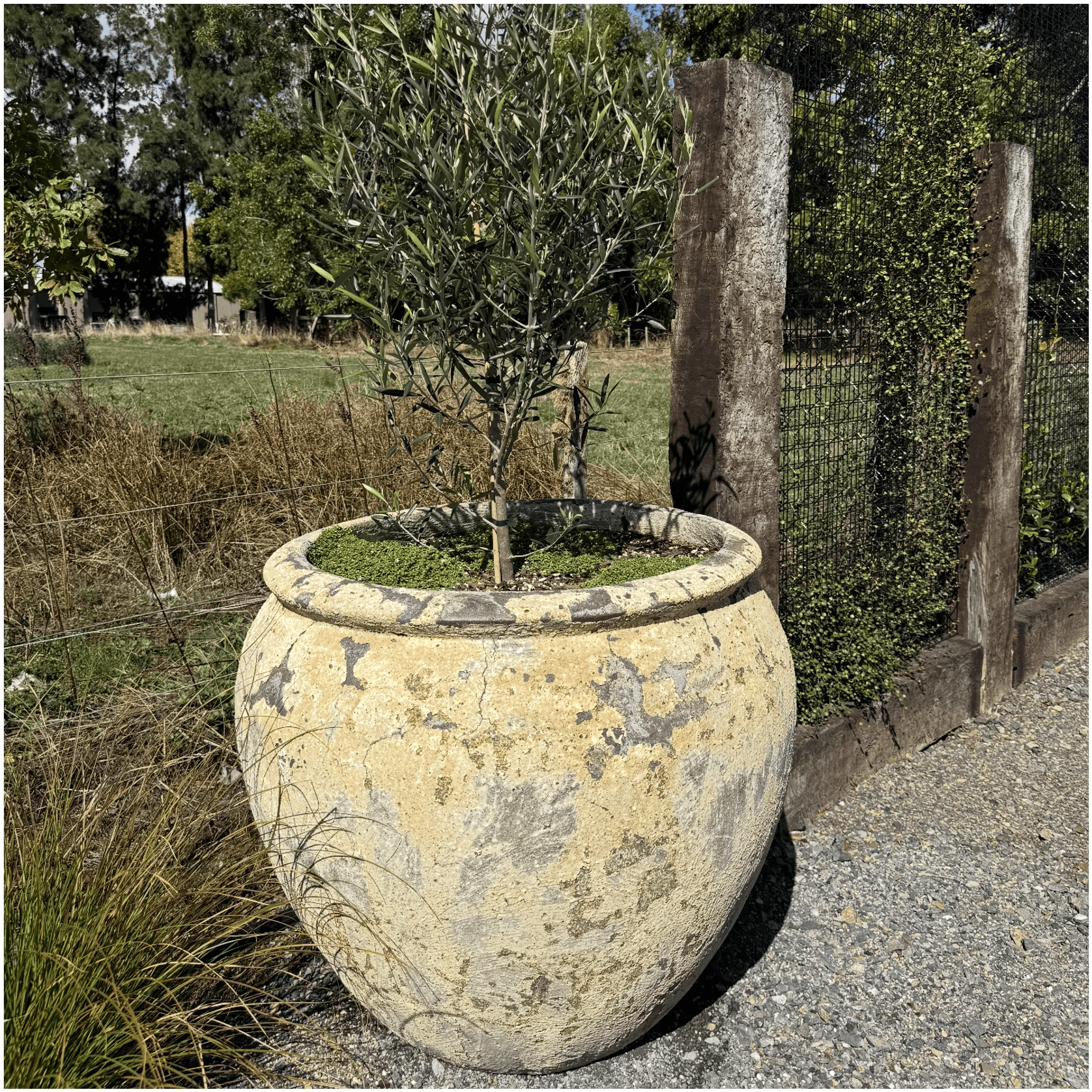 Atlantis - Opium Jar gallery detail image