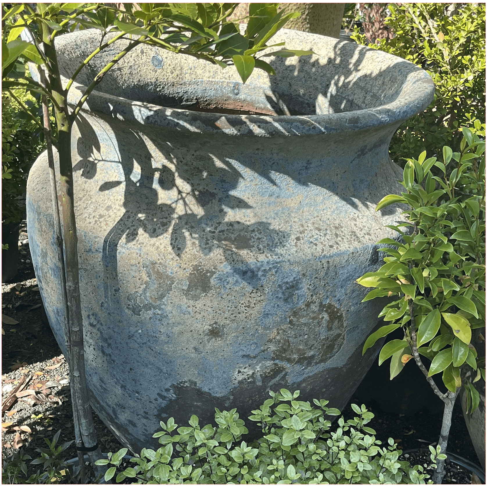 Atlantis - Skorpio Jar (No Lines) gallery detail image