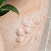 Tera Siena Olive Pot gallery detail image