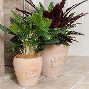 Tera Siena Olive Pot gallery detail image