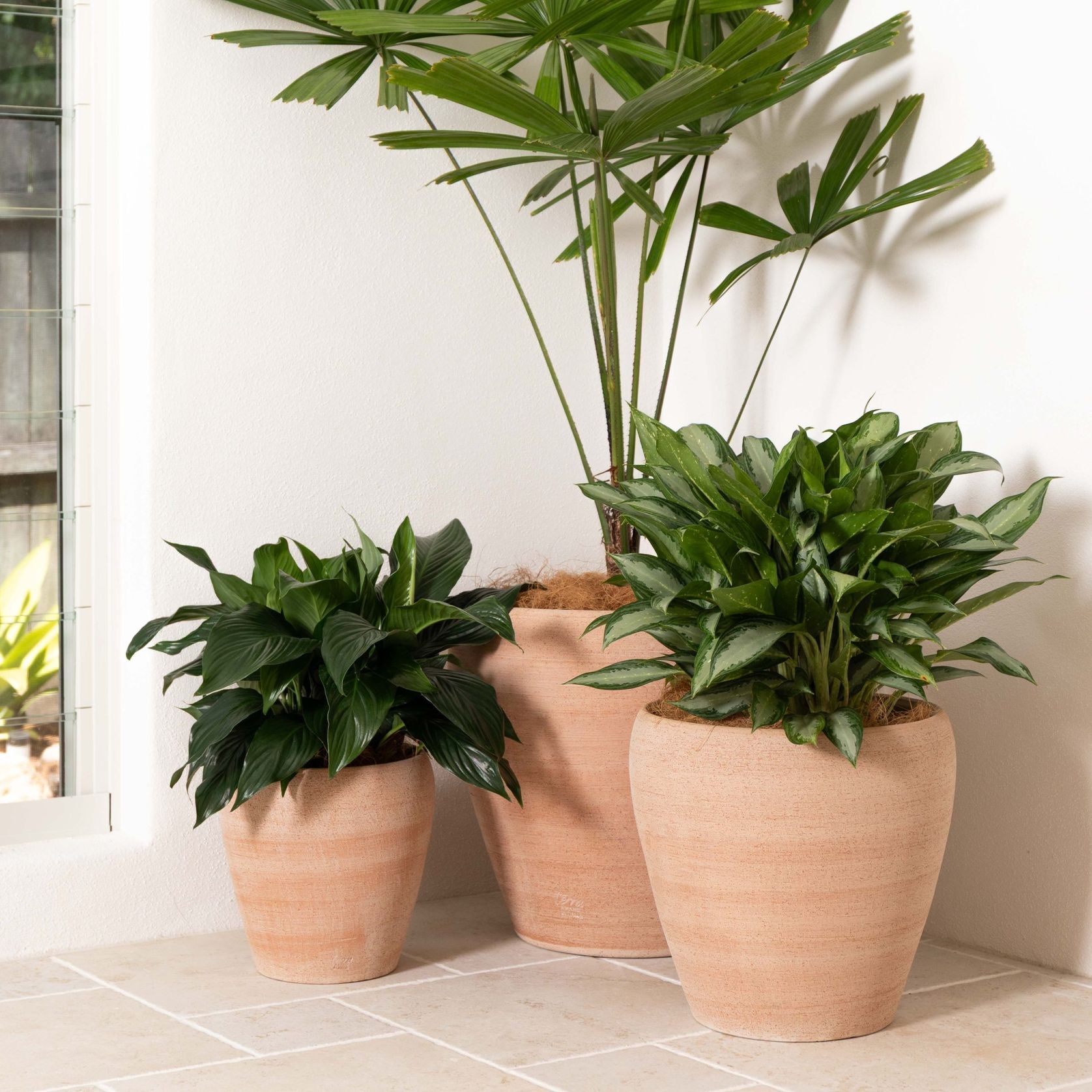 Volterra Pot gallery detail image