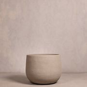 Hibernate NoMud 86 Degrees | Flax gallery detail image