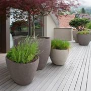 HK gallery detail image